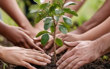 التأثير المتبادل بين علاقة الإنسان مع الطبيعة وأخيه